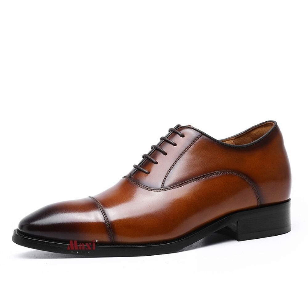 Giày tăng chiều cao nam màu nâu da bò MAX8988